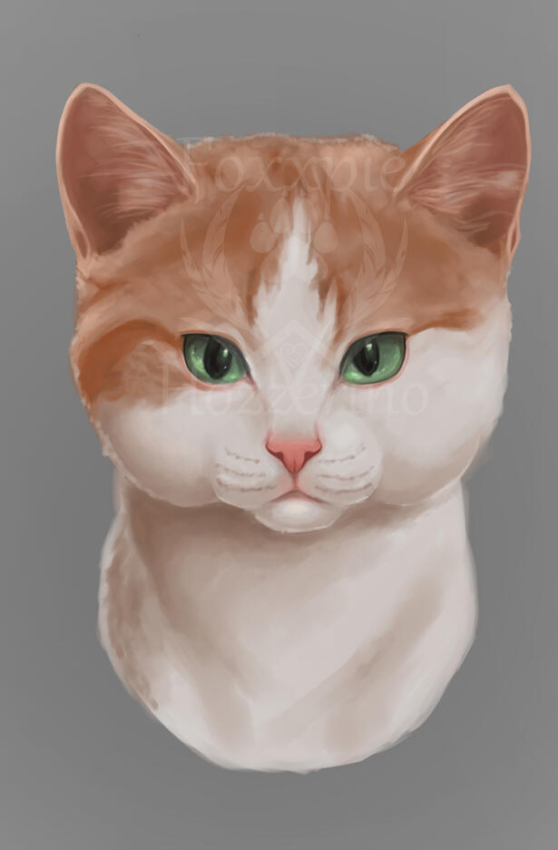 CharlyCats CharlyCats