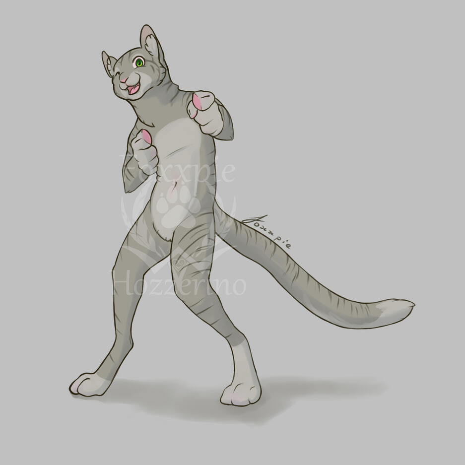 Meowsfire Meowsfire