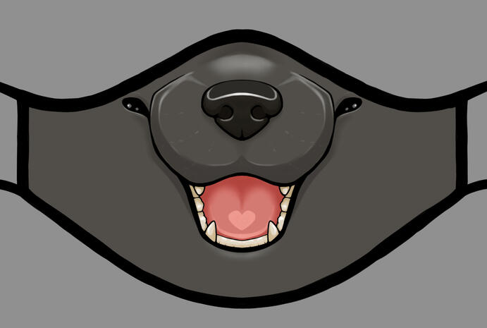 Black Labrador Black Labrador