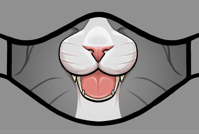 Mackerel Tabby Cat Mackerel Tabby Cat