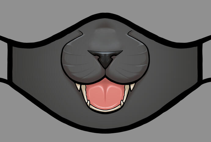 Black Cat Black Cat