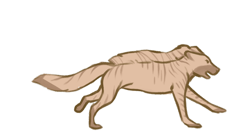 Hozz Run Cycle Hozz Run Cycle