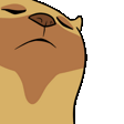 CatJam Hozz CatJam Hozz