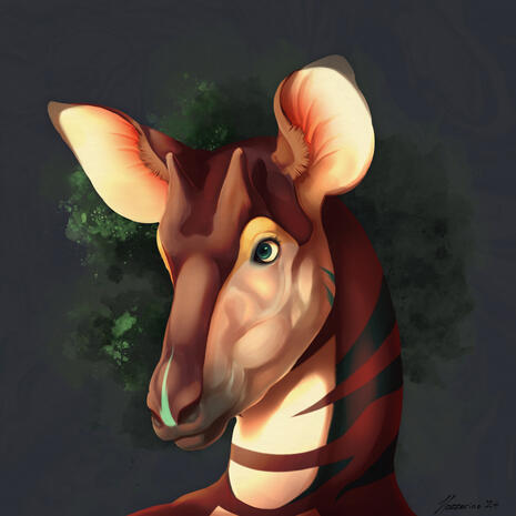Topograpi Portrait